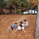 삼운사유치원 이미지