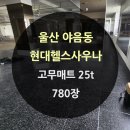 현대 헬스사우나 이미지