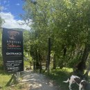 아벨농장 | 뉴질랜드 - 아벨타스만 (1)