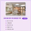 가족 여행객을 위한 청두 판다 테마 호텔 추천 및 예약 팁