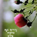 김*철 - 안양시 만안구 소곡로 78 | 김*철