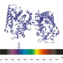 [푸른약국] CYP450 약물대사효소 와의 상호작용 기능의 개발 이미지