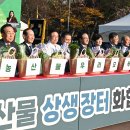 대구경북상생장터
