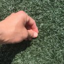 강서개화축구장 이미지