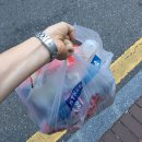 목동 맛집] 도미노 피자 부럽지 않던 7번가 피자 후기 by 디너의 여왕