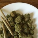 (주)다림바이오텍 이미지