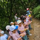 시립풍동숲속어린이집 이미지