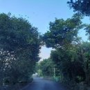 송당휴먼오름 이미지