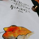 [서부] 수채일러스트 이미지