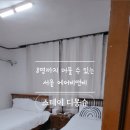 스테이디몽슈