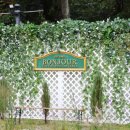 봉주르 | 봉주르 팔당 베이커리 카페 방문 후기