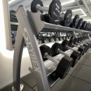 벙커스짐 이미지