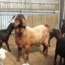 이천제이농장 이미지