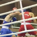 신천스타복싱 이미지