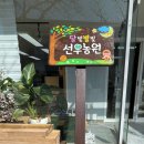 우드퍼블릭