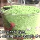 스마트폰 활용(Ⅰ) 이미지