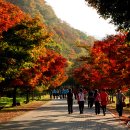 몽계폭포 백양사코스 이미지