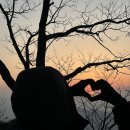 11305-11-126-1 | 고창 선운산 수리봉(336m) 등산 최단코스 일출 일몰 주간 산행 후기 초보자 추천