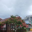 개미촌펜션 이미지