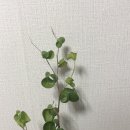 이번에도 너무나 오랜만의 폿으팅..^^*
