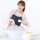 수제산업동물병원 이미지