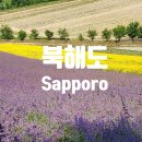 현정투어 | 북해도 3박4일 패키지.후라노 비에이 여행. 버스투어.