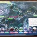아라숲