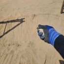 김천초등학교유치원 이미지