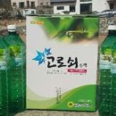 시영아빠표고버섯