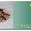 목련식품