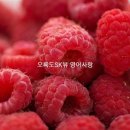 영어사랑