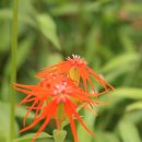 동자목장 이미지