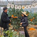 생규농장 이미지