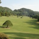 꿈속여행 이미지