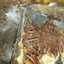 연수구청후문 이미지