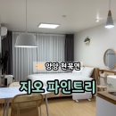 소나무파인트리(PINE TREE) | 강원도 양양 가성비 가족펜션 감성숙소 추천 '지오 파인트리'