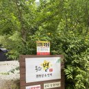 노키즈캠핑장 봉화별캠핑장 A-04 후기(경북캠핑장, 계곡캠핑장, 깨끗한캠핑장, 감성캠핑장)