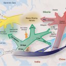 북부유전자 이미지