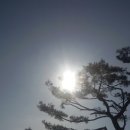 해둥지 Daum카페