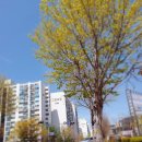 연세행복한가정의학과의원 이미지