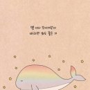 제주마미