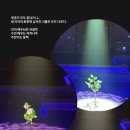 [혜화/대학로] 뮤지컬 &lt;이매지너리&gt; 관극갈때 꼭 손수건 5장 아니면 스포츠타월 5장