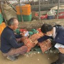 이문성농장 이미지