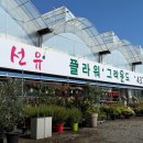 남동화원 | 인천 남동구 식목일 이벤트 후기 | 무료 나무 나눔 + 화원 코스 추천