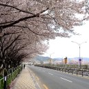 가곡강변로 이미지