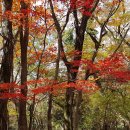 병식농장 이미지