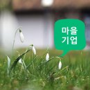 송림다움길마을관리사회적협동조합 이미지