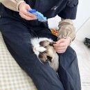 묘리깡 | 부산고양이목욕 추천 연산동 묘리깡