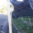 종아농장 이미지