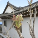 길목민박 네이버블로그